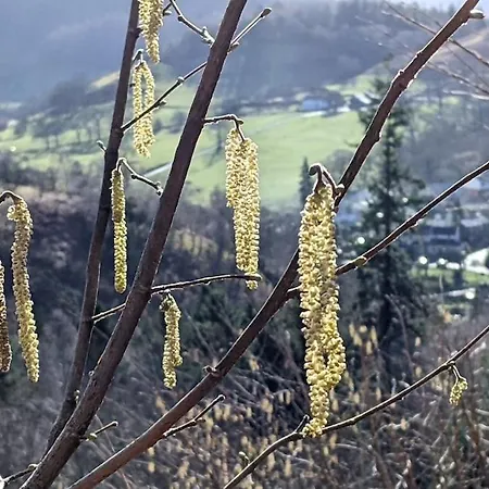 Oakside 別荘 ブレイスウェイト